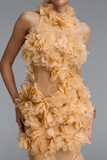 Load image into Gallery viewer, Rayna Elegant Contour High Neck Floral Mesh Beige Maxi Dress